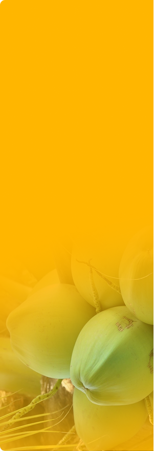 bg-featured-category