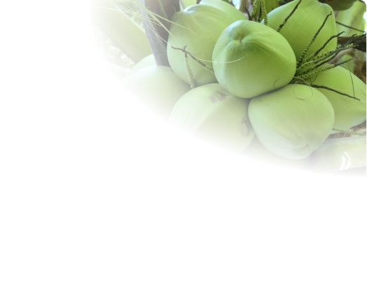 bg-featured-category