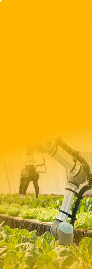 bg-featured-category